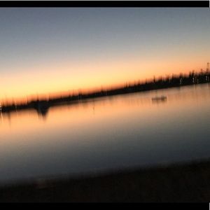 Meet your Posher, Dana